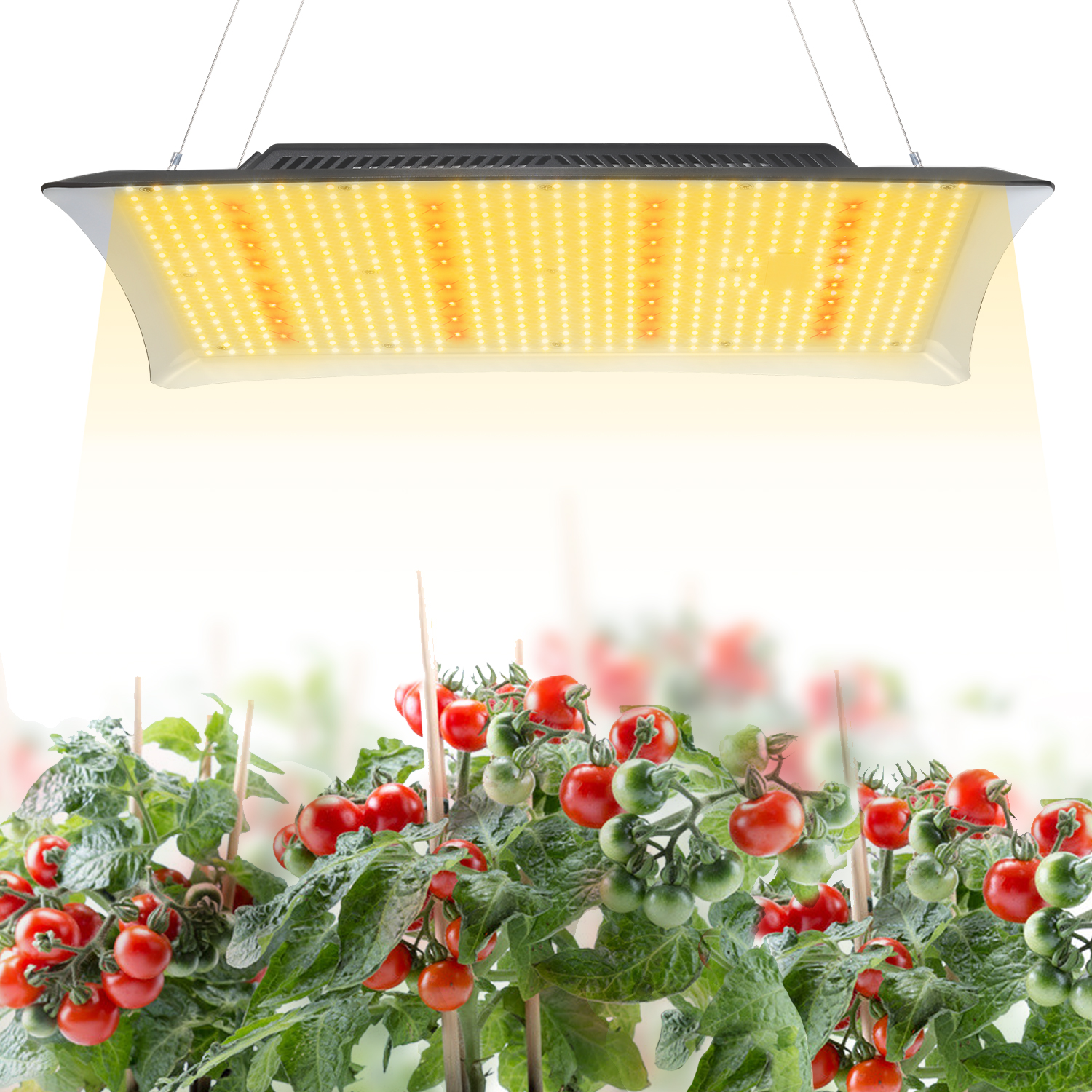 艾博特YD系列2000详情页