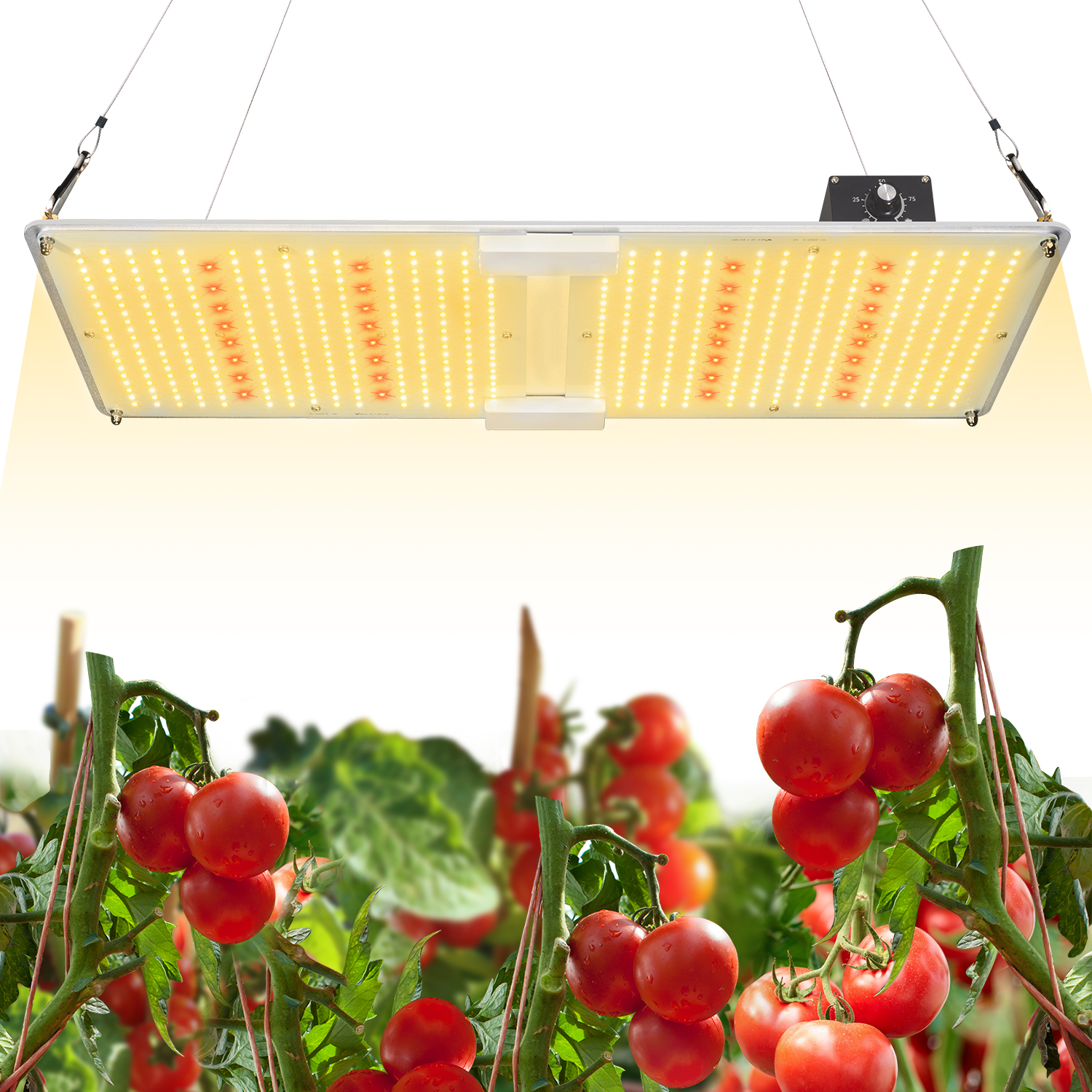 艾博特YC系列2000M详情页