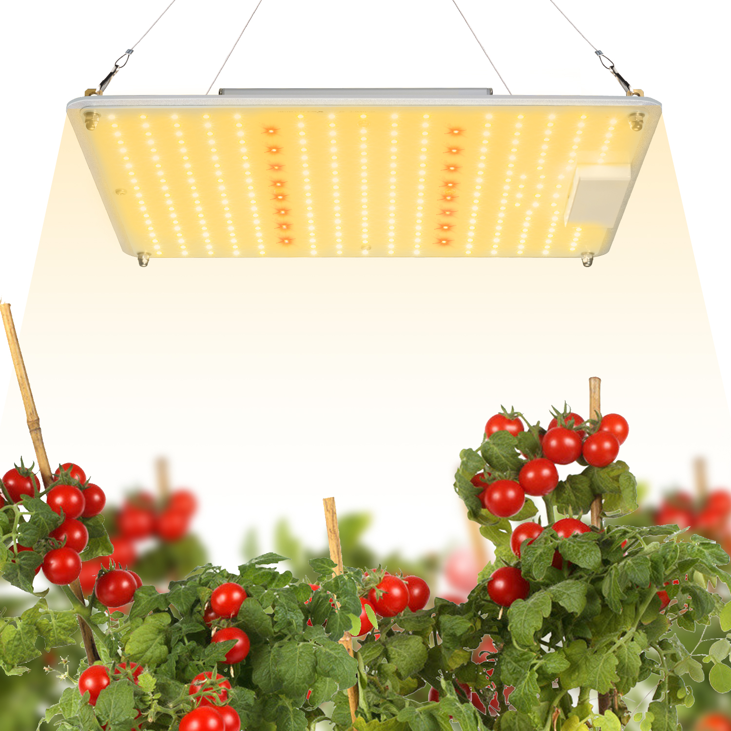 艾博特YC系列1000G详情页