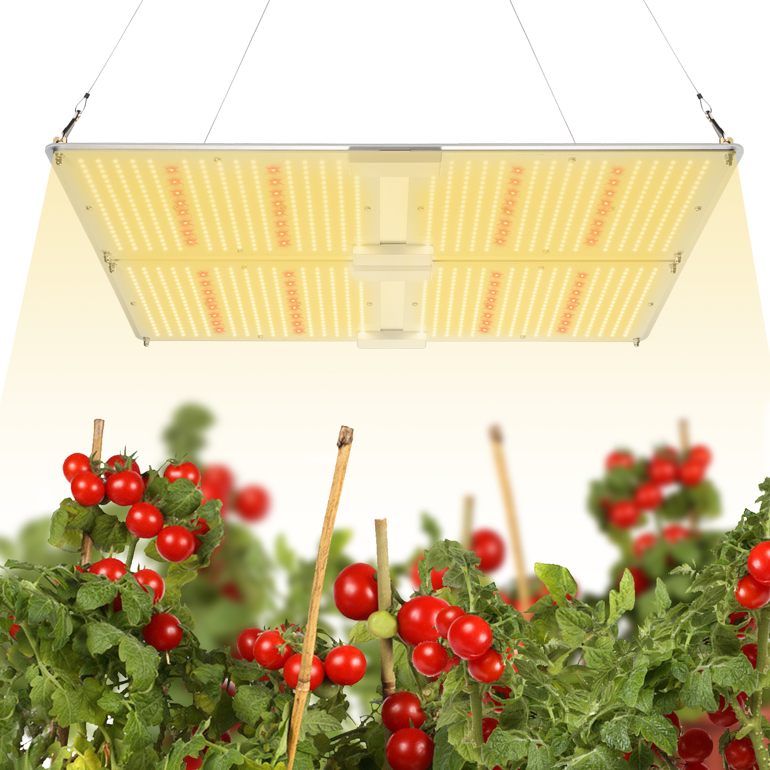 艾博特YC系列4000G详情页